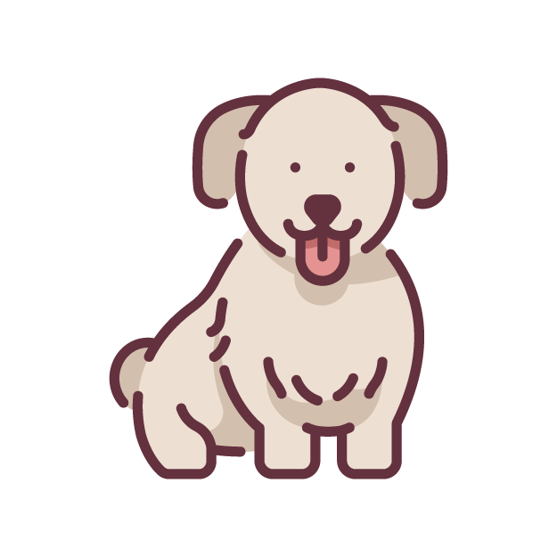 Surgery - pet’s safety