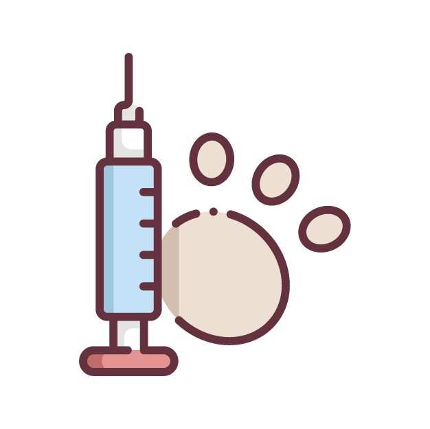 Pet's Physical Examination