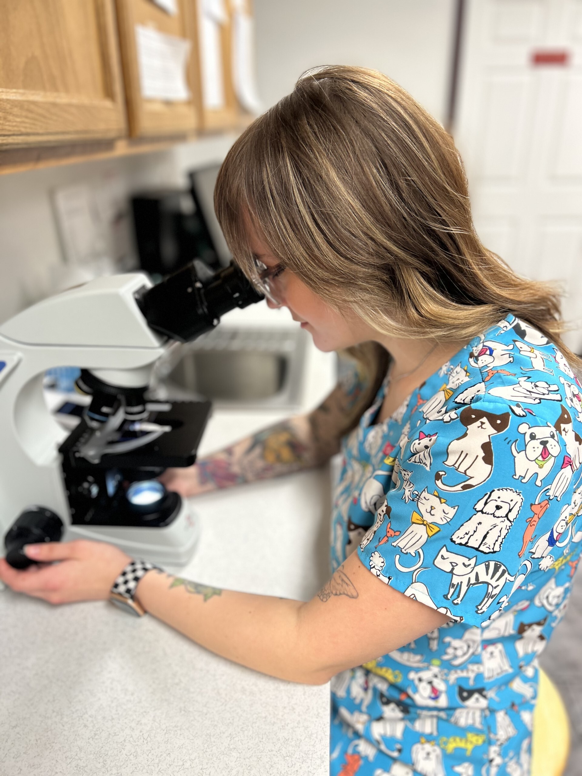 Preventative-and-Wellness